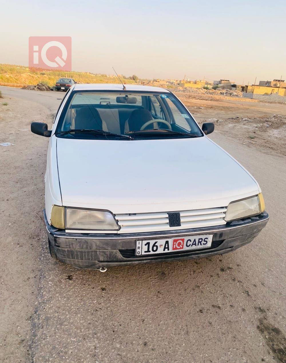 بيجو روا